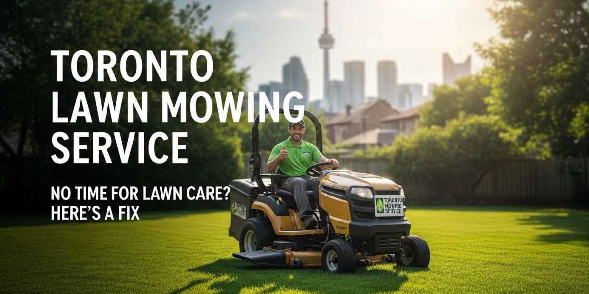 Tired of Messy Grass? Easy Local Help