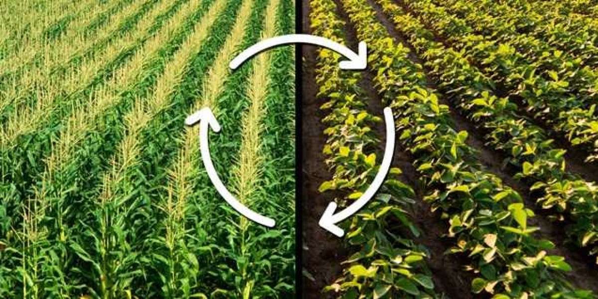 Weed Control Medicine Near Me: Why More Indian Farmers Choose Gramiti to Buy Pesticides Online