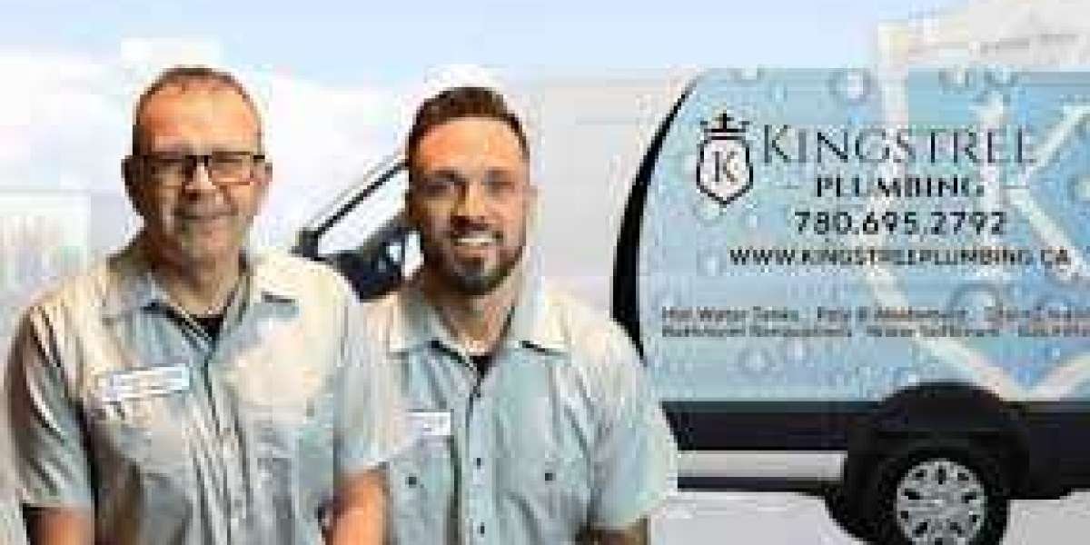 Professional Plumbing Solutions in Edmonton