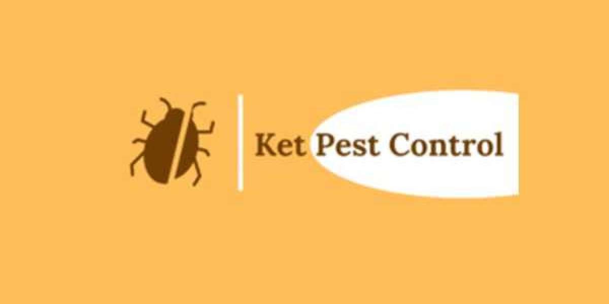 The Best Pest Control in Edmonton in 2026
